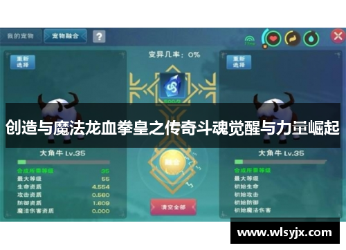 创造与魔法龙血拳皇之传奇斗魂觉醒与力量崛起